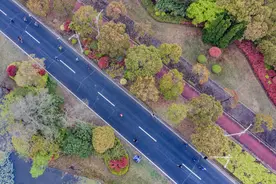 共享“长江百里秀带”，2025上海长江半程马拉松赛下周崇明开跑图片