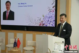 澳大利亚澳中工商业委员会新州分会在悉尼举行国际妇女节座谈会图片