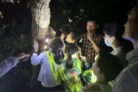 科普进万家，自然探秘小分队踏上公园探秘之旅图片