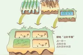 什么是占用耕地补偿制度？永久基本农田被占用后应该怎样补划？如何申请农村宅基地......漫解来了图片