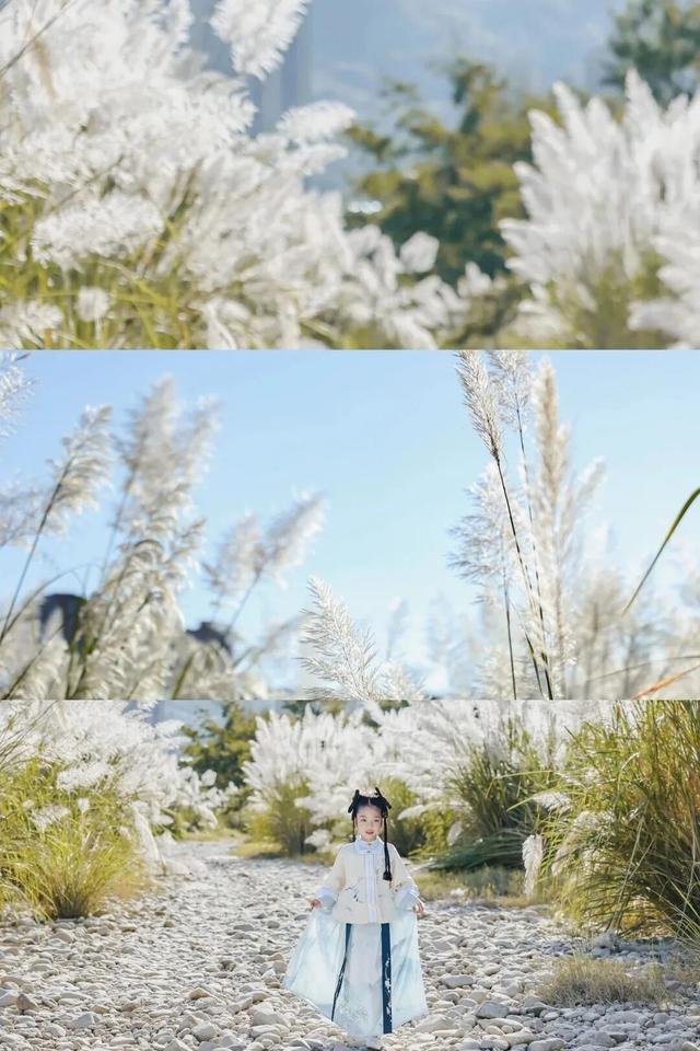 属于福安人的第一场“雪”来了！