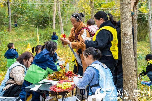 世界古银杏之乡迎来游学热