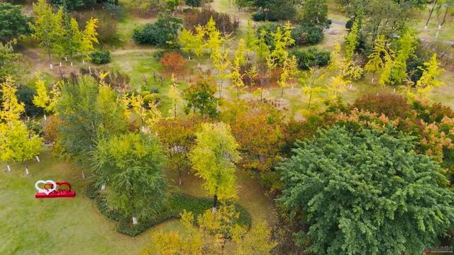 仪陇的秋天很美啊!