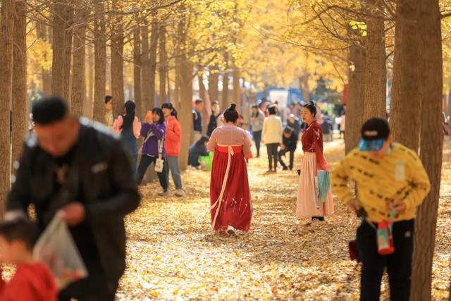 西安秋日citywalk天花板，来啦！