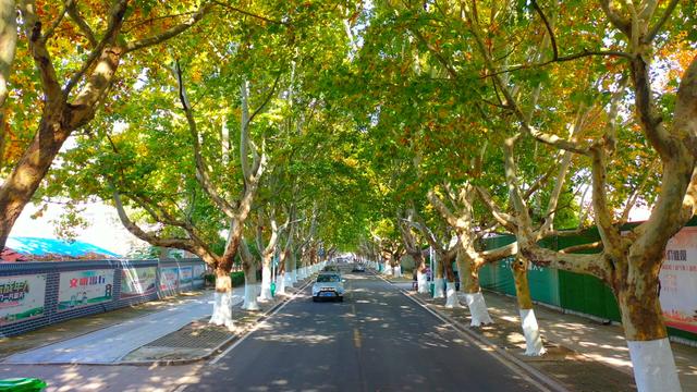 漫步潍坊诸城感受苏轼笔下的超然 邂逅一座城市的五彩斑斓