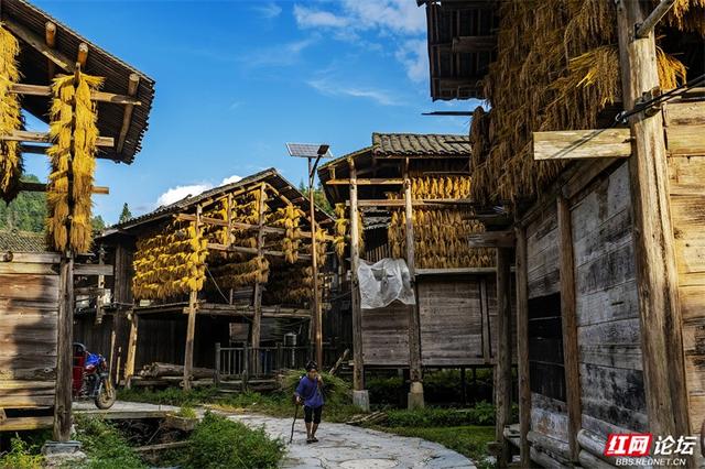 跟着网友游贵州丨黄岗侗寨：在深山邂逅世界级乡村魅力