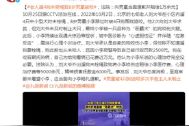 老人遛4狗未牵绳致8岁男童被咬，法院：向男童当面道歉并赔偿1万余元图片