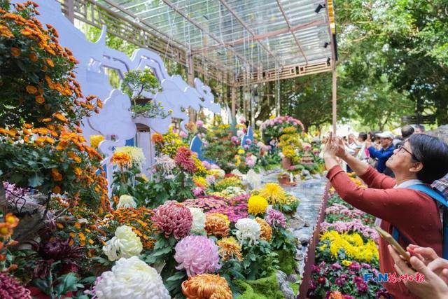 这场秋菊盛会，描绘着福建的千年风雅