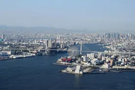 日本大阪府部分水体严重污染 约三成受检者血检异常图片