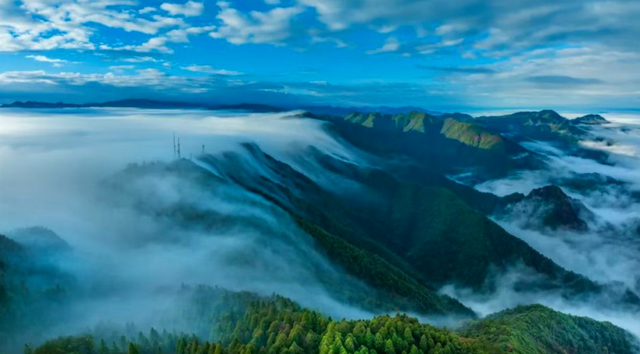 立秋 | 逃离“烤”验！自驾井冈山，解锁21℃的红色清凉世界！