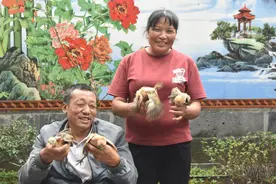 ​开屏人物｜杨恩旭：轮椅上的养鸡明星图片