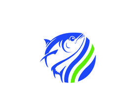 中国品牌日特别策划 | 中鲁金枪鱼：凭借品牌优势，打造了多元立体的产品体系图片