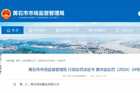 19台电梯超期未检继续使用2个月，黄石绿地置业有限公司被罚5万图片