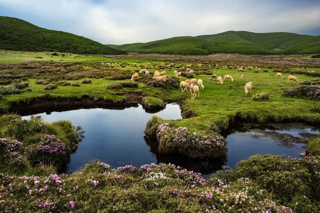 乐西高速马昭段贯通！凉山东线风光美出圈