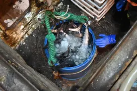 万斤鲅鱼上岸，2小时售罄！今年价格低于往年，青岛女婿们冲图片