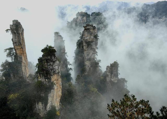 水墨画卷天子山