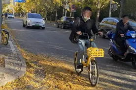 银杏叶很美，但银杏果烂了很臭，有办法破解吗？图片