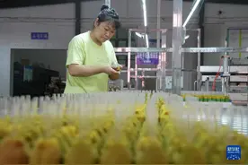 河北唐山：“乡村工厂”拓宽村民致富路图片