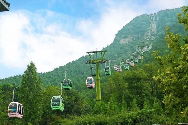 亮相央视！洛阳这些赏秋地，太美！