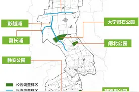 生物多样性｜首次拍到！“蝶形蜻蜓”现身闸北公园图片