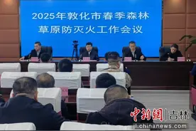 敦化市召开2025年春季森林草原防灭火工作会议图片