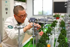 中国式现代化奋进者｜他身贴万伏高压做“微创手术”，绝缘服厚达13层图片