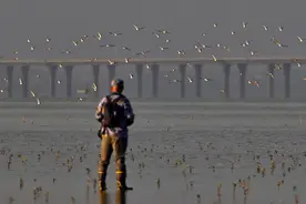 “公益宝贝”19年，一条宽广的大河图片