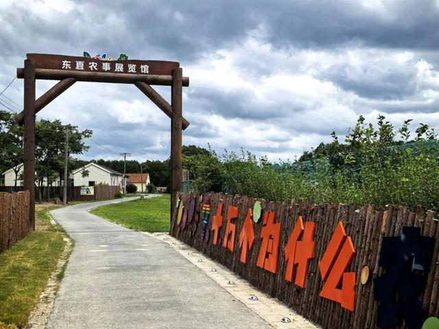 书香融入泥土香！上海书展上提前剧透的“玉米王国”就在松江