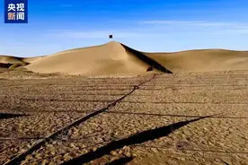 2024关键字·“绿”：敢叫荒漠变绿洲背后的智慧与坚守图片