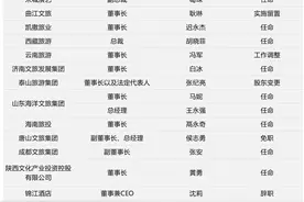 13家旅企“换帅”背后图片