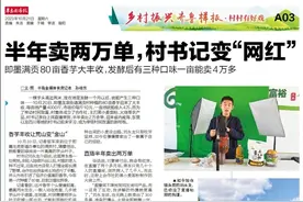 身高近两米！即墨满贡80亩香芋大丰收，一亩能卖4万多图片