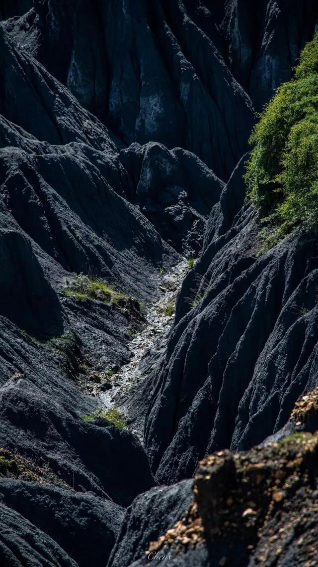 秋天的公路旅行，我会选择G317！