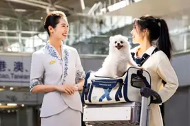 “一人两宠”！旅客可同时携带两只宠物进入飞机客舱图片