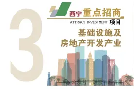 MR.LIU丨2024年西宁发布主城房地产招商项目，下南关街备受关注图片