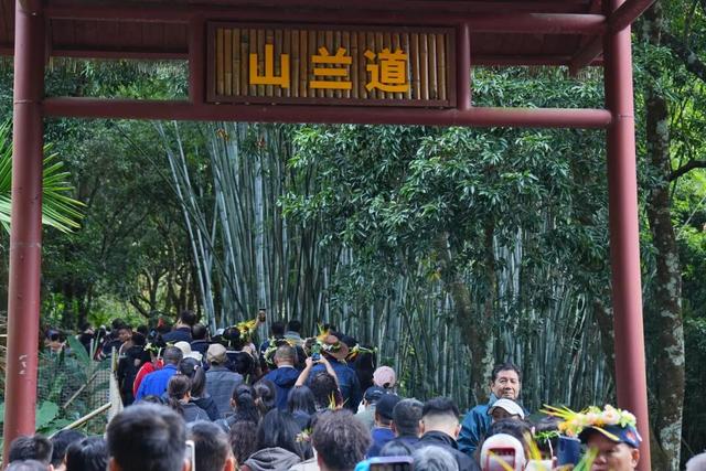 多图+视频！一起回看2025年白沙“啦奥门”雨林与您山兰文化活动精彩瞬间