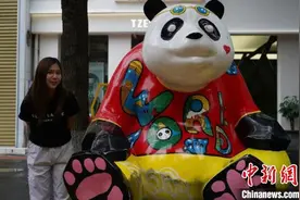 马来西亚姑娘定制成都“串门攻略”：欢迎来我“第二故乡”图片