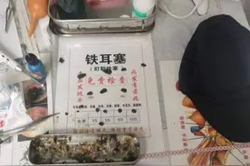 街边采耳花费数千元？原来骗子用假视频假耳屎瞒天过海图片