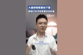 大量蜉蝣聚集如下雪，辟谣之外不妨有更多的科普图片