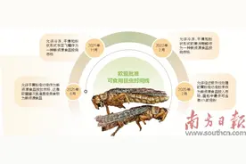 “以虫为食”，噱头还是方向？图片