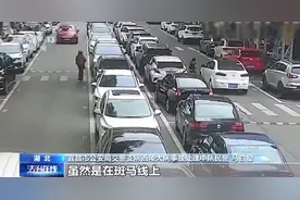 汽车盲区里能藏下一个班的娃！寒假来临 一定叮嘱自家娃这几点！图片