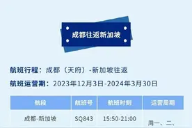 从12月3日起，这家航司在成都新增直飞新加坡航班图片