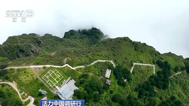 活力中国调研行丨遗产保护用上黑科技 在峨眉山解锁文旅新体验