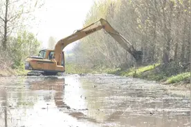 湖北江陵：控源截污，全力提升洪湖流域水环境质量图片
