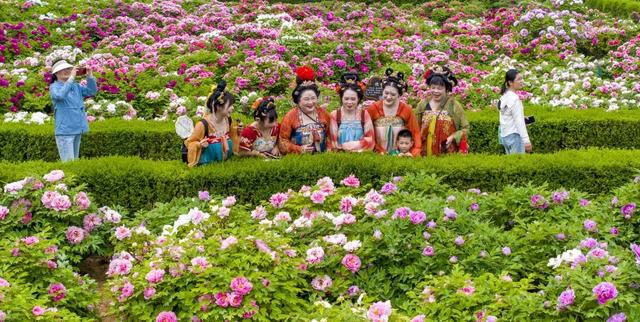 2026河南春季赏花地图来了