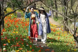 西溪湿地开启花朝节图片