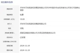 开封文投集团拟发行10亿元公司债，获深交所受理图片