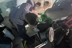 有只猫卡在城市里图片