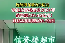 纵览热点｜连续4年销售额超200亿元，河北信誉楼对外披露：2024年销售额239.65亿元图片