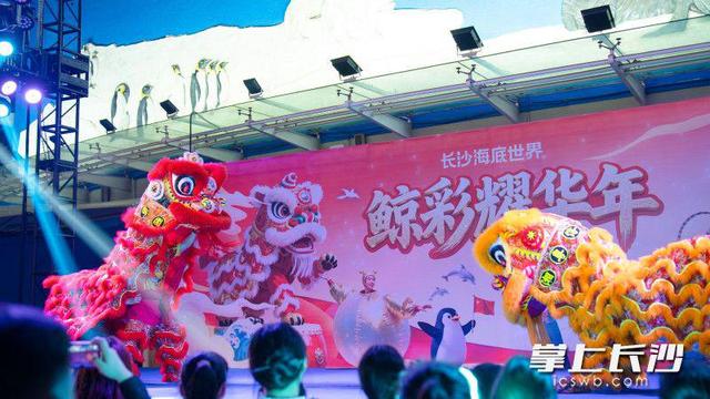 你来玩我买单，长沙海底世界惠客活动伴市民快乐过节