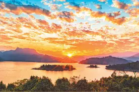 鳄蜥给人类的一封信图片